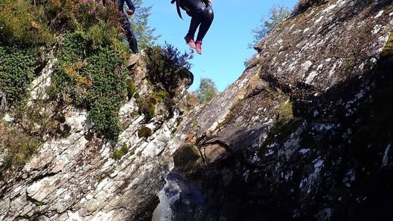 Zip Trek Adventure Park Aviemore