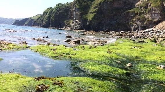 Saint Austell