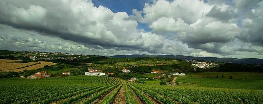 Quinta dos Capuchos
