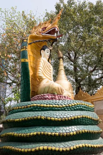 Insein