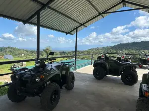 Outback Quads