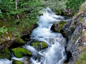 Vevchani Springs
