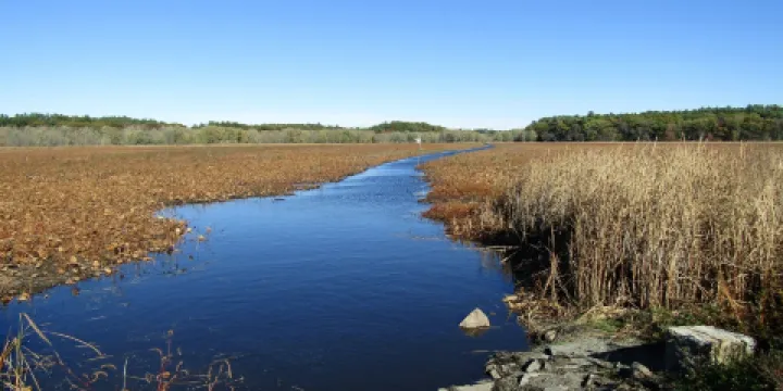 Great Meadows National Wildlife Refuge
