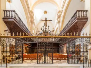 San Patricio Collegiate