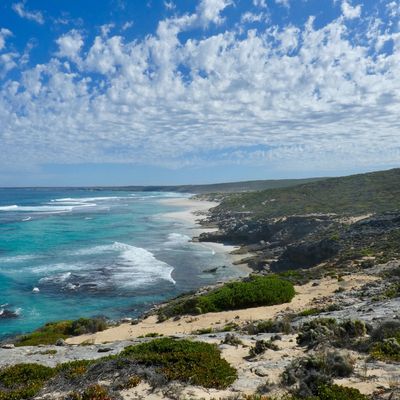 Kangaroo Island Wilderness Trail