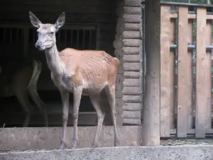 Biel Zoo