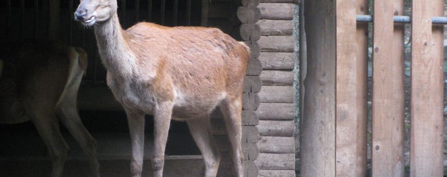 Biel Zoo