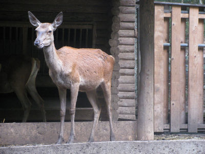 Parc zoologique Bienne