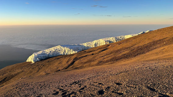 Pamoja Kilimanjaro & Safaris