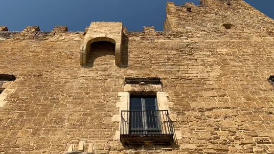 Castell Palau