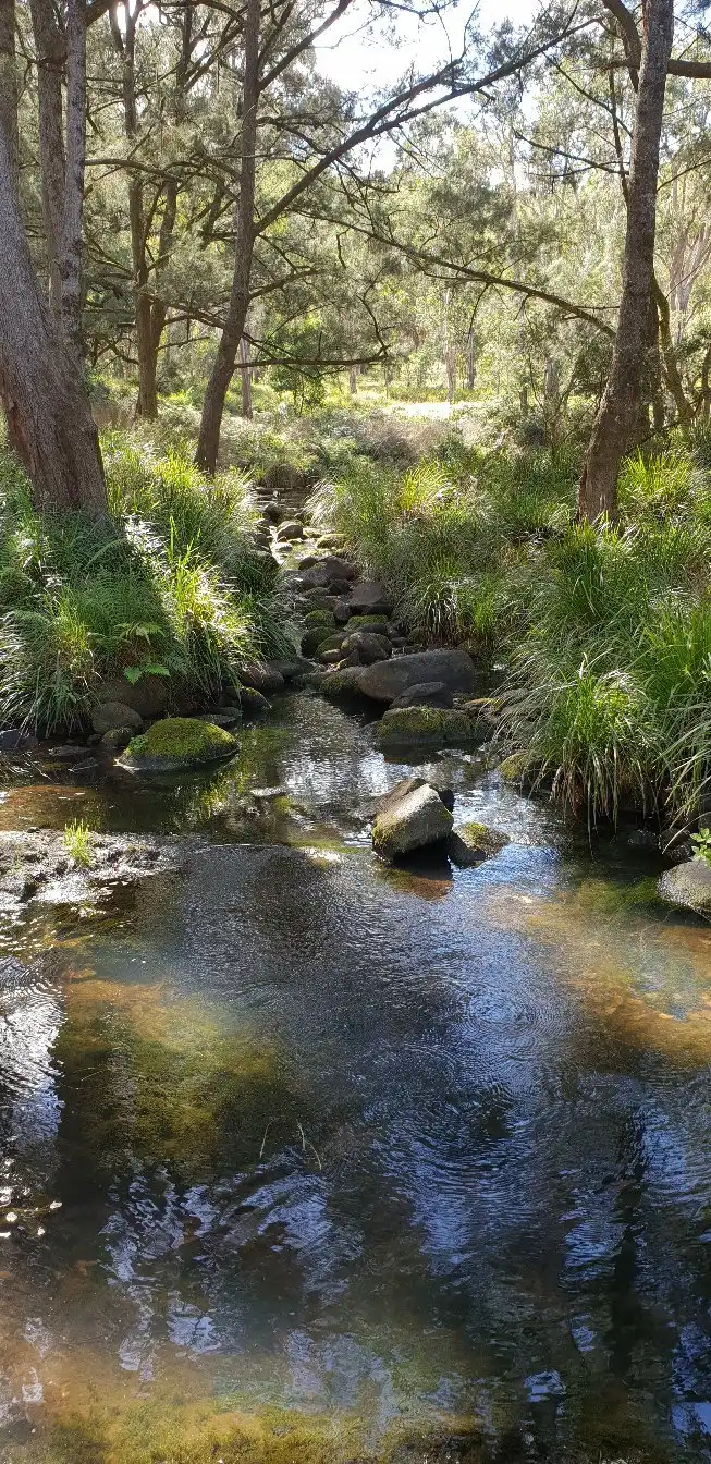 Hotels in Kyogle