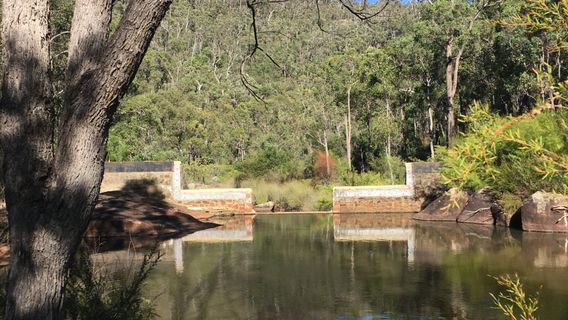 Serpentine Pipehead Dam