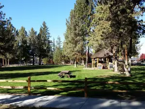Village Green City Park