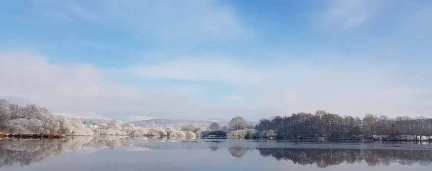 Etang des Forges