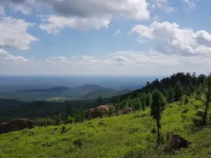 Hanglip Forest Reserve