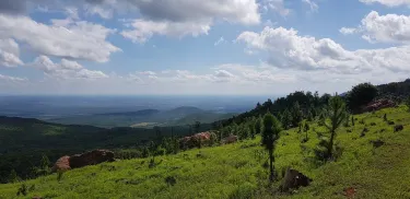 Far North