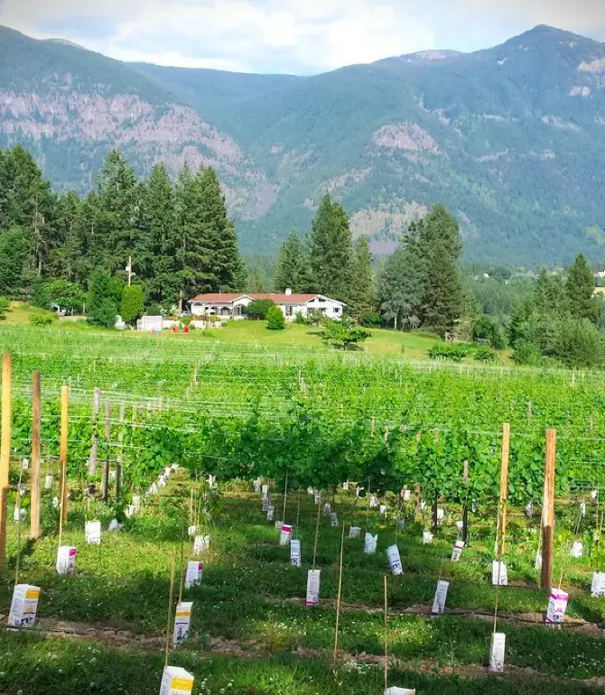 Central Kootenay B