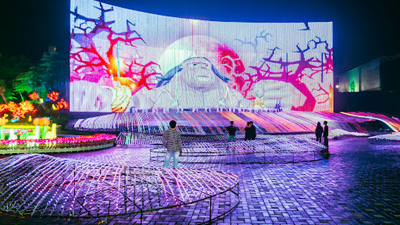 Milenial Glow Garden