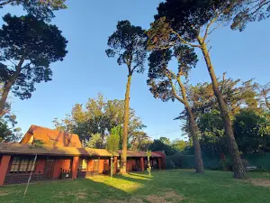 Reserva Forestal Bosque Peralta Ramos