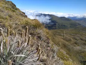 Páramo de Sabana Rubia