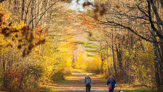 Sunnybrook State Park