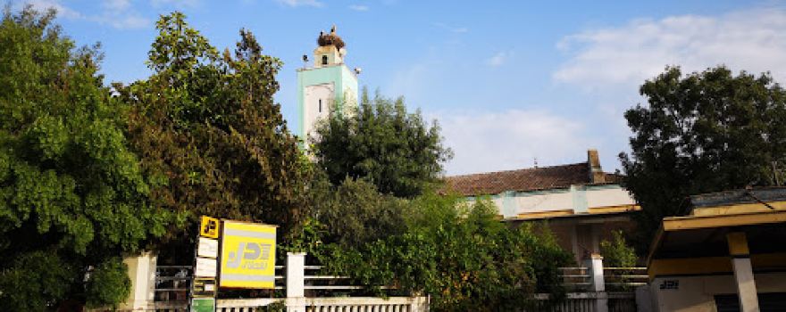 masjid elatiq