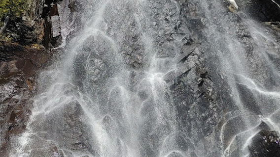 Palisades Hiking Trail