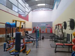 Sociedad Italiana