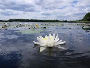 Luka Lake