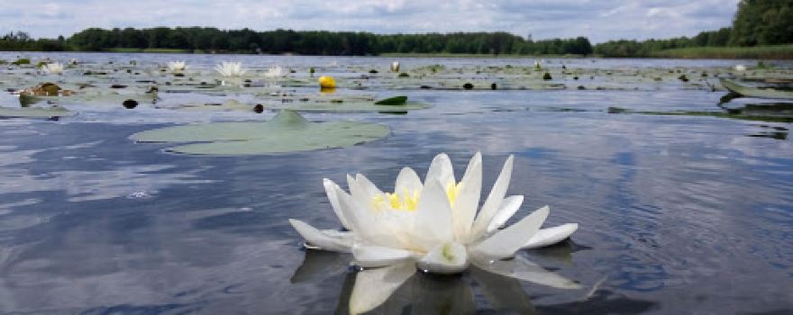 Luka Lake