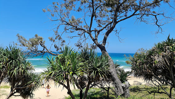 Dog Off-Leash Area 210-217