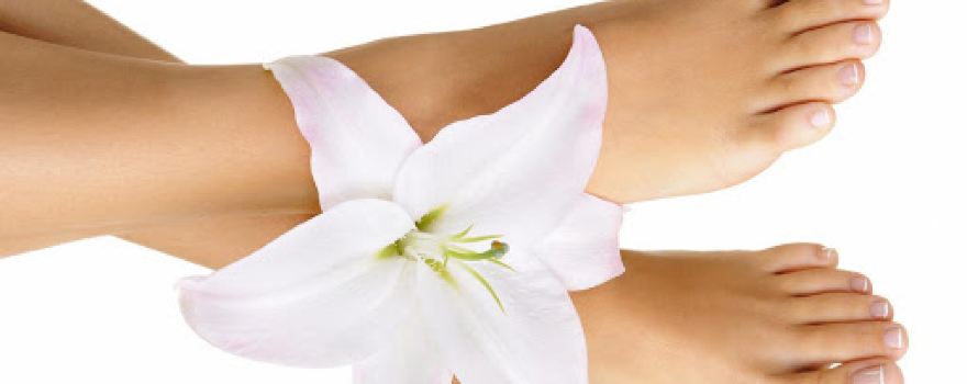 Kosmetikstudio " Primavera Home of Beauty "