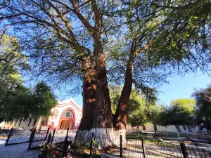 ALAMEDA Cuauhtémoc