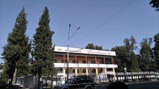 Fontan Chaykhany "Saodat"