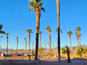 Avi Resort & Casino