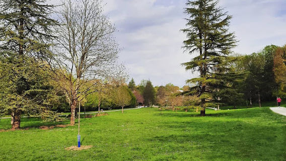 Parc des Arènes
