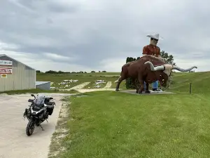 Cowboy & Bull
