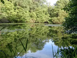 Accrobranches - Parc des Grands Chênes