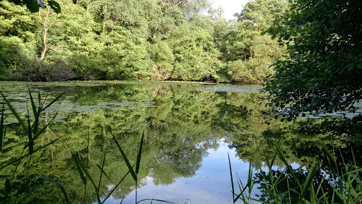 Accrobranches - Parc des Grands Chênes