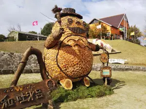 Taiyonosato Park