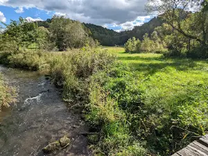 Duck Egg County Forest