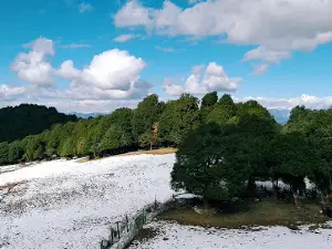 Pandukholi