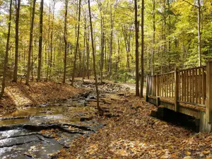 John B. Austin Nature Trail, Lockport
