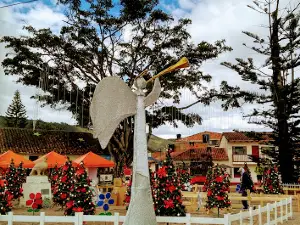 Municipal Cota Park