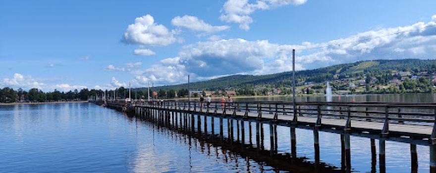 Holmen (Långbryggan)