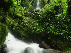 Yedi Degirmenler Tabiat Parkı Çay Evi
