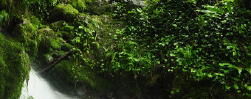 Yedi Degirmenler Tabiat Parkı Çay Evi