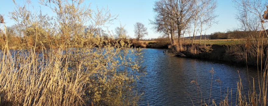 Fischteichanlage Königsdorf