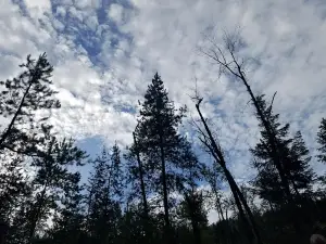 Sheep Creek Campground
