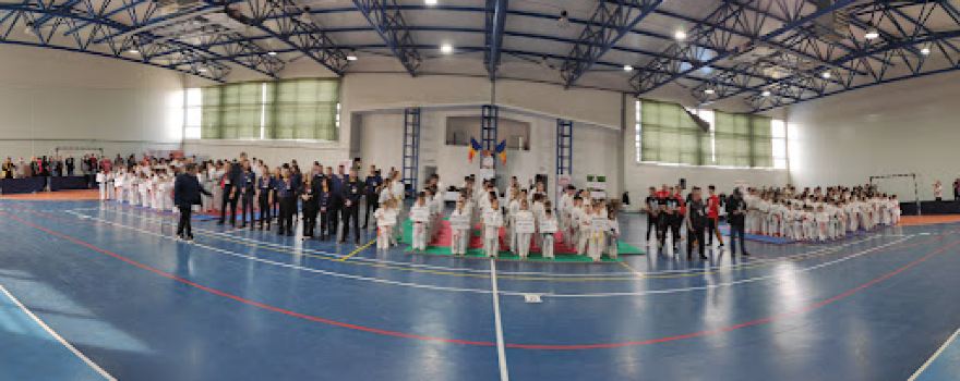 Gym Teoharie Coca Cozma
